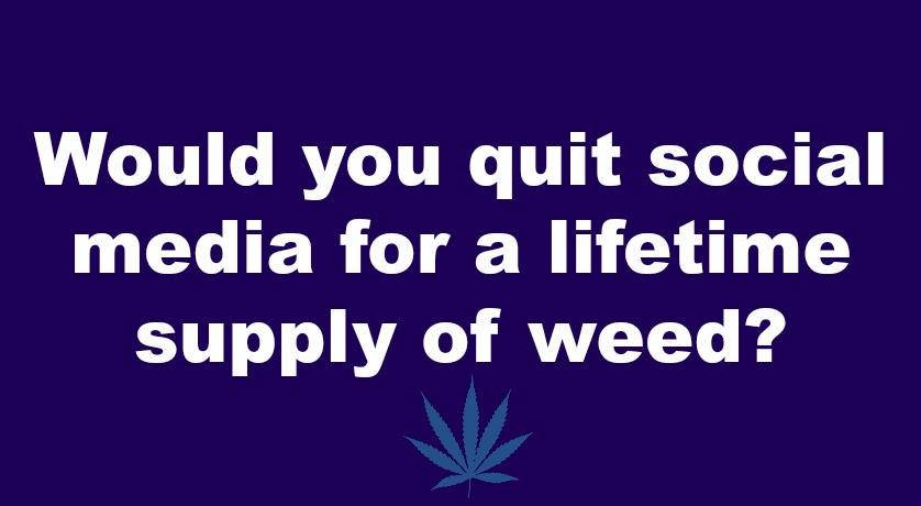 cheechandchong's tweet photo. https://t.co/EdbfwDN5ss