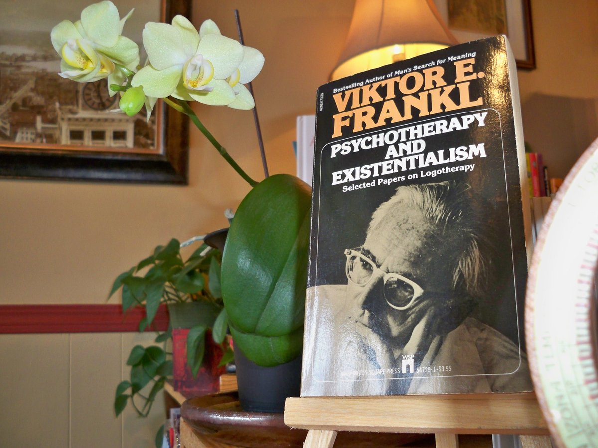 Y's Books tweet media