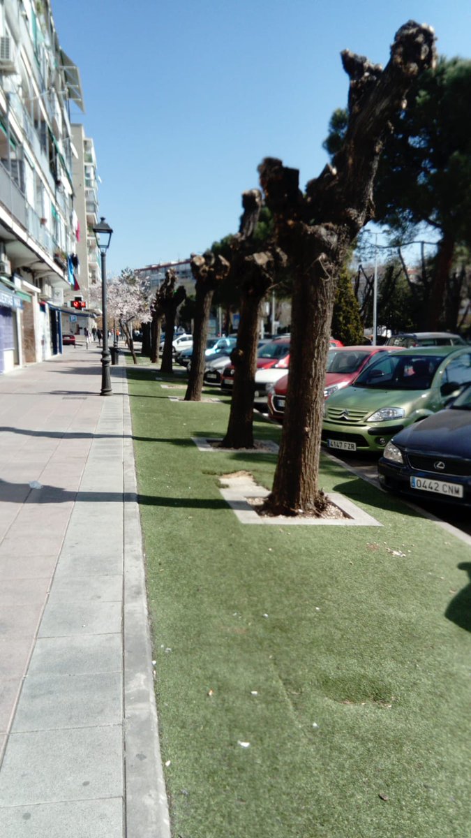 <a href="/urbaNATURALEZA/">Nacho Fdez</a> Aquí en Torrejón de Ardoz <a href="/Ayto_Torrejon/">Ayuntamiento de Torrejón de Ardoz</a> Sustituyen los setos de boj por ceped de plástico,  POLIPROPILENO (PP) el mismo plástico de las bolsas, e igual de contaminante.