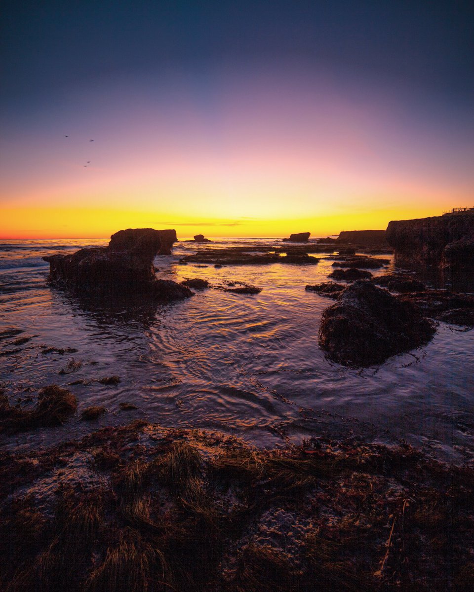 Can't wait for some better weather!😩 #kingtide #pleasurepoint #visitsantacruz #santacruz #santacruzlife #longexpoelite #milliondollarvisuals #landscape_mf #meistershots #moodygang #ig_vision #serialshooters #moodygrams #illgrammers #gramslayers #teamtravelers