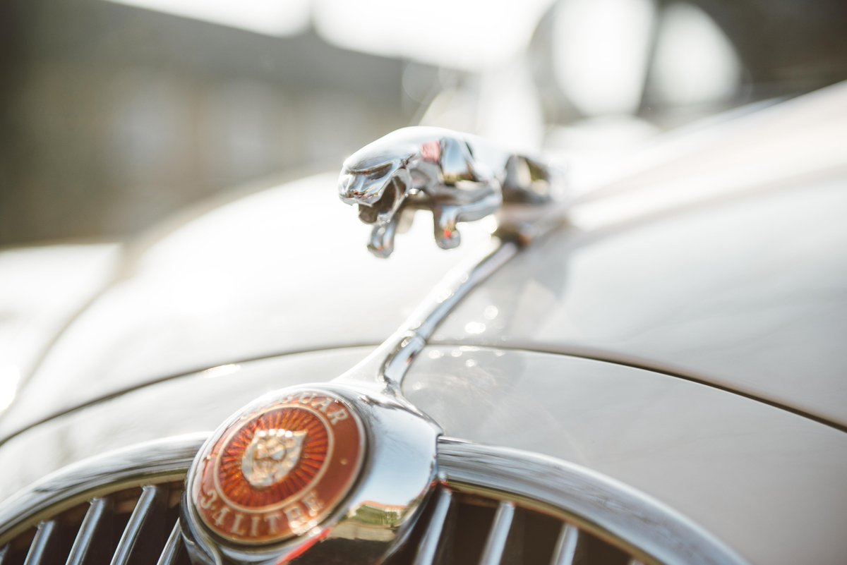 GoldingCars's tweet photo. check out these amazing photo's by @bekidoig https://t.co/QHLzBbtC8n