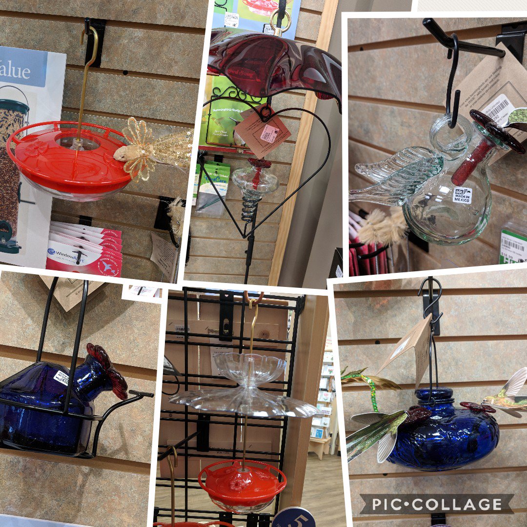 wbujax's tweet photo. Hummingbirds have already been seen in some customers yards. Let us help you get ready for their arrival. Shop Monday-Saturday 10-6, Sunday Noon-4 or call 904-379-5760 #backyardbirdfeeding #birdwatching #hummingbirds #birdyourworld https://t.co/THds0EvrPj