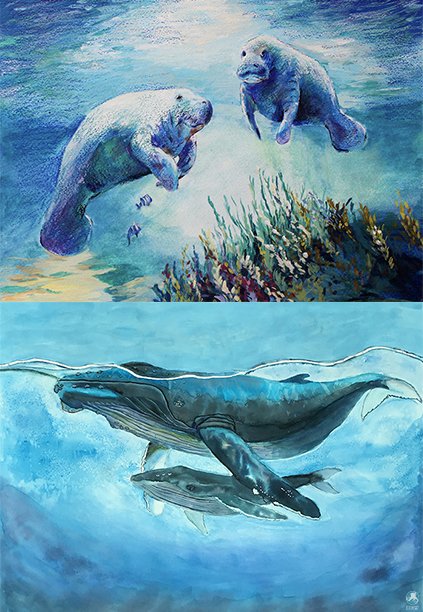 ifawglobal's tweet photo. Congrats to Mingjie, Ava, Tiarn, Piere, Aayan, and Valerie, our age group 14-18 finalists for our #WorldWildlifeDay global youth art contest. We're thrilled to see artists using their talents to promote marine conservation. #LifeUnderWater https://t.co/zFZyvcvbZx
