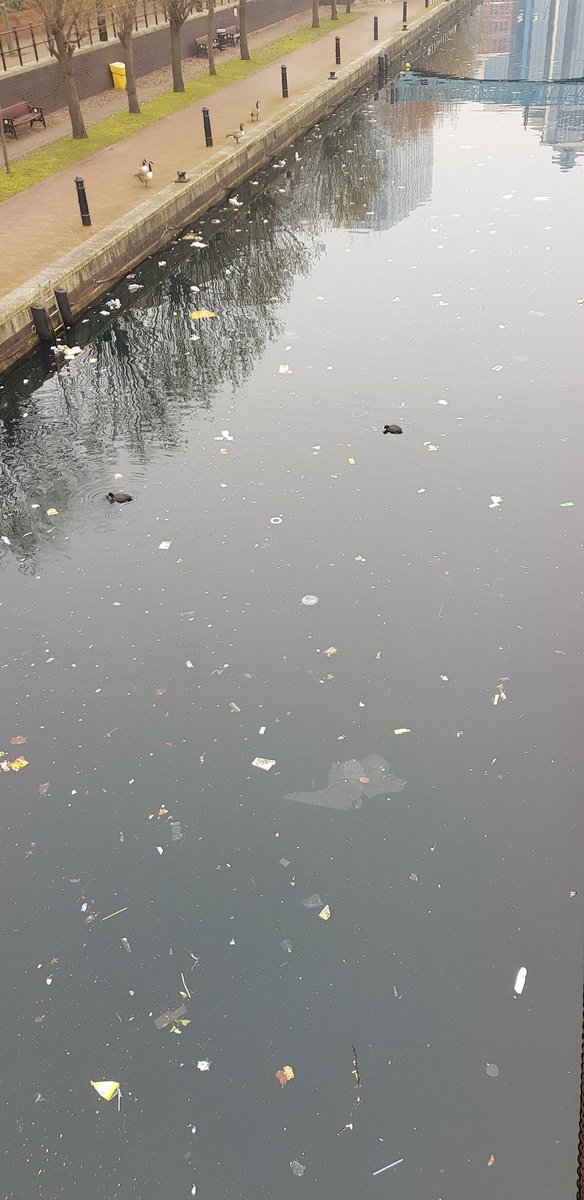 A sad state in #salfordquays today. Lots of rubbish and single use plastic in the waterways. #MancheSTRAW🚫 come on #manchester #salford we were doing so well