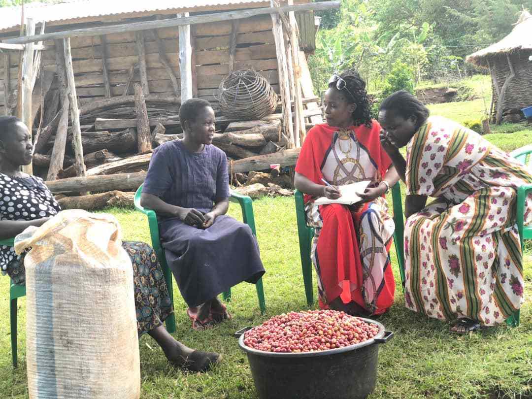 SpecialtyBarist's tweet image. RT PerfectDailyG "Africa Coffee Academy's Mentorship and Training Program: Meet Ms. Marble Ndagire, 2019 Youth Flagship Bearer bit.ly/2UeyXlo via AFCA_COFFEE https://t.co/0ha1CItULD"