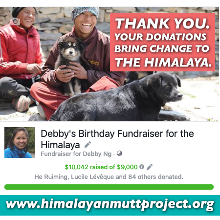 HimalayanMutts's tweet photo. We've raised the funds we need for 2019 to continue our work in the Himalaya. We find solutions for managing dog-wildlife diseases and help communities live with safe and healthy dogs. We cannot do this work without YOU. Thank you 🙏
#HimalayanMuttProject https://t.co/bM52kvhiCl