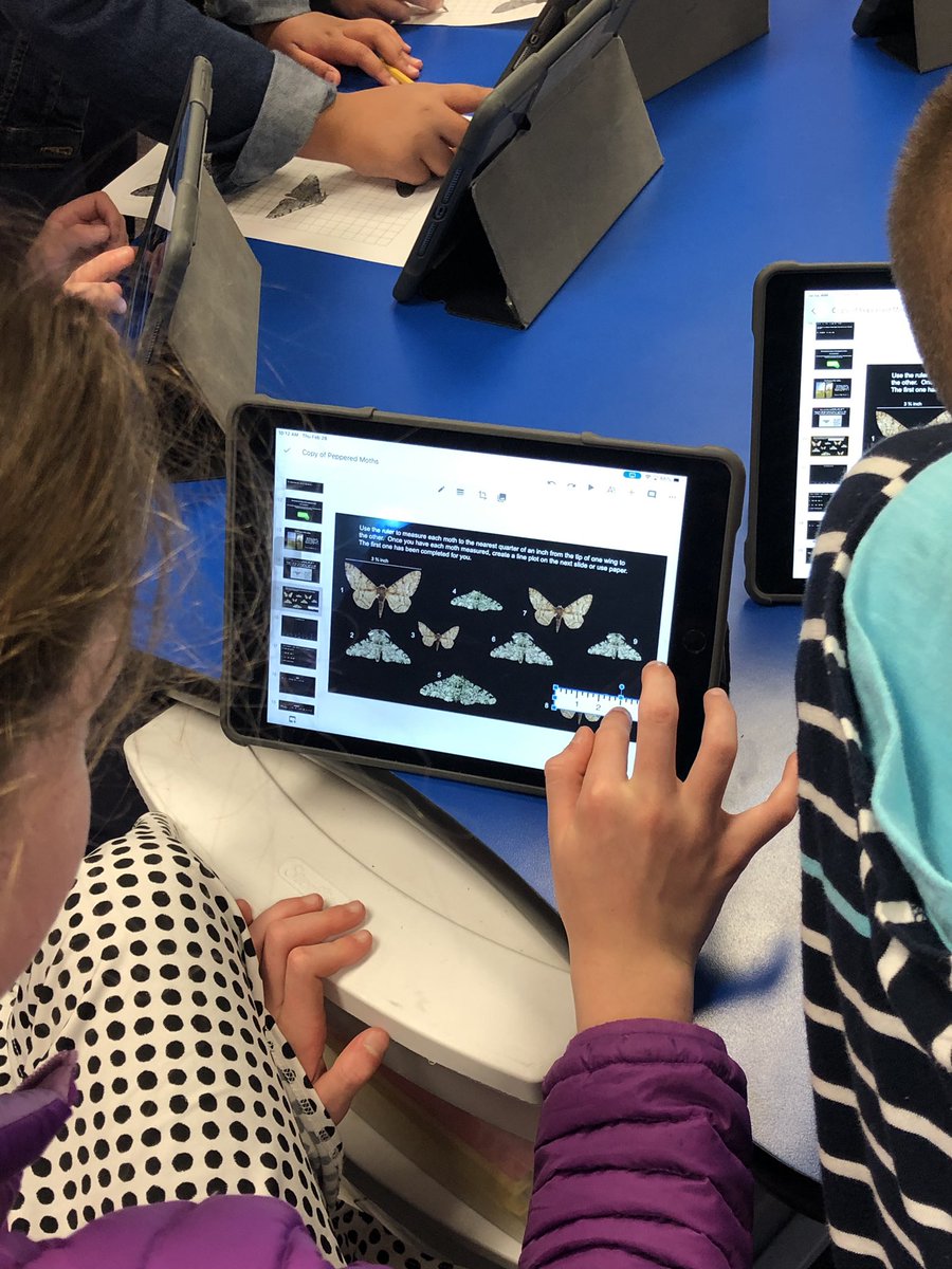 jblank3rd's tweet photo. Mastering fluency, area, perimeter, measuring, and graphing all while learning about peppered moth survival! Can’t forget about the virtual expedition either! @ccabanillas1 #WhyCrane @GowanGators https://t.co/cxdJSP6hpy