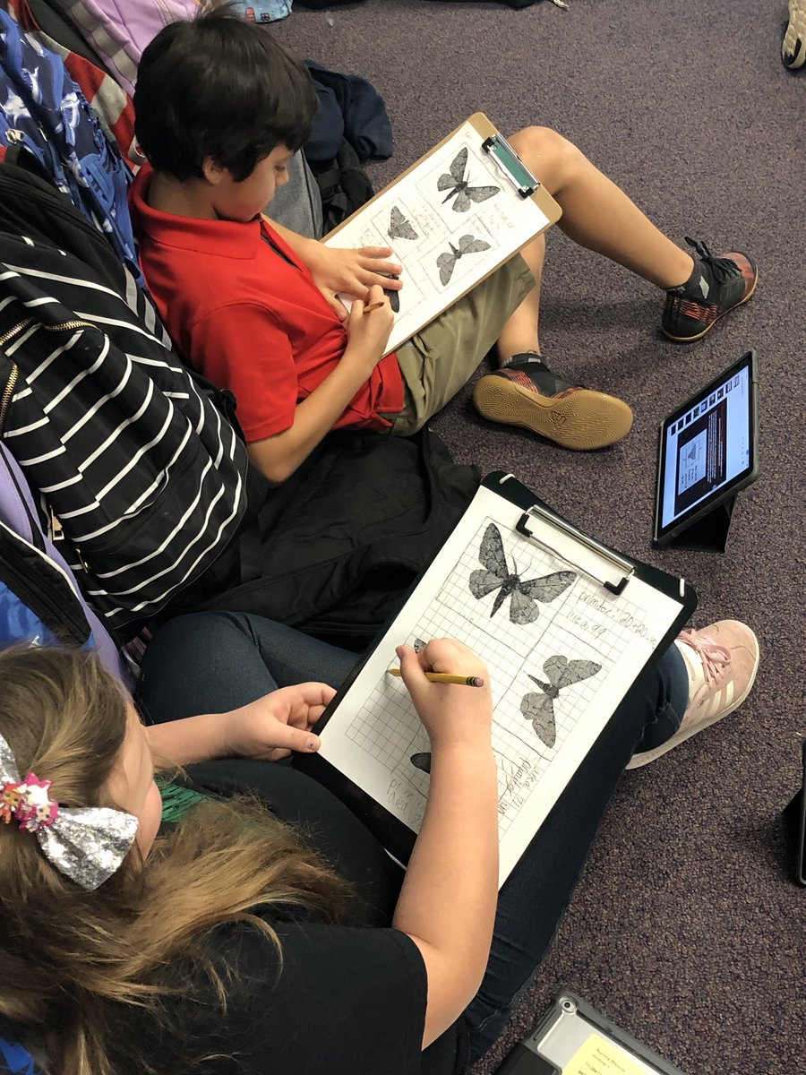 jblank3rd's tweet photo. Mastering fluency, area, perimeter, measuring, and graphing all while learning about peppered moth survival! Can’t forget about the virtual expedition either! @ccabanillas1 #WhyCrane @GowanGators https://t.co/cxdJSP6hpy