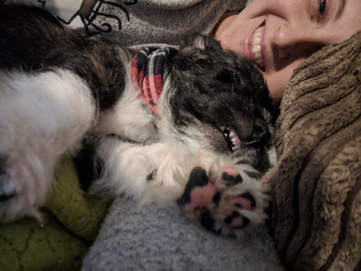 AshIsHereRobb's tweet photo. Larry is actually so funny... Look at this tiny pup sleep??? https://t.co/Nqc2m4Bw2P