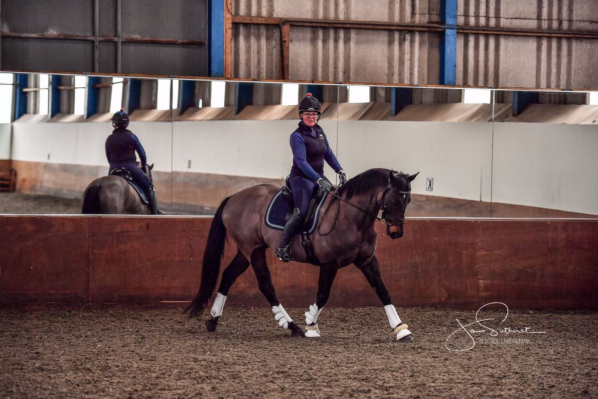 Clare Poole Equestrian tweet media