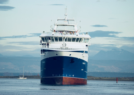 DeliveryQuoteAU's tweet image. Ayo Caption, let’s get this ship sailing! We provide sea freight for all your personal belongings!

#deliveryquotecompare #seafreight

deliveryquotecompare.com.au