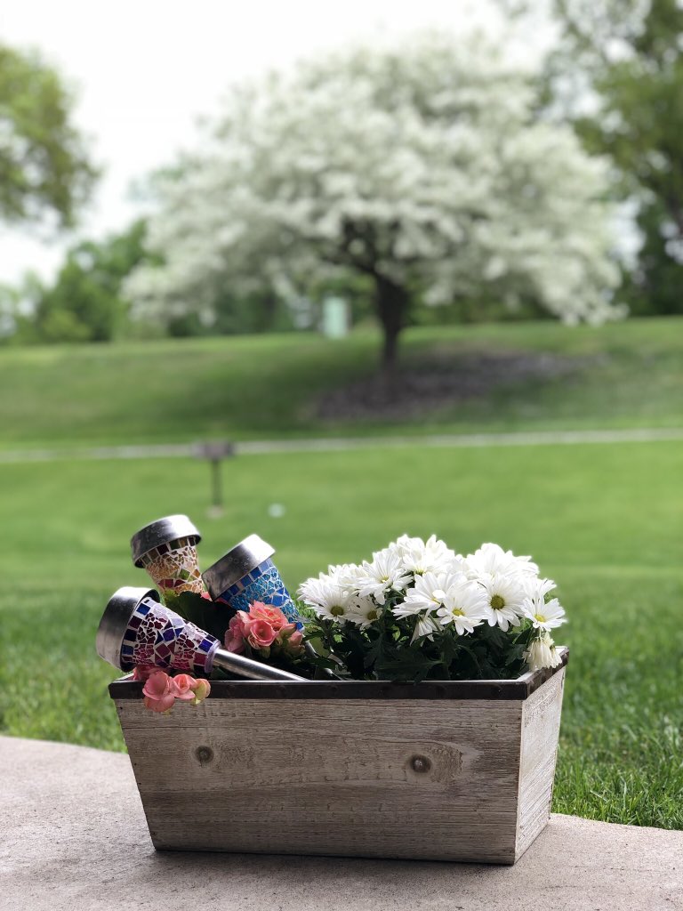 #عدسة_مينيسوتية

صور لجمال الطبيعه بالشتاء والربيع في ولاية منيسوتا الامريكيه
 تصوير #سائح_تيوب
<a href="/SC_UST/">Saudis At UST</a>