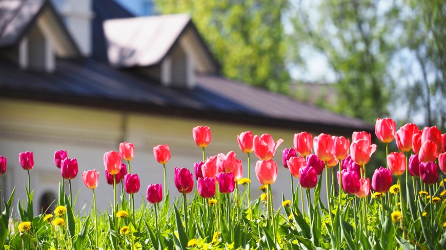 ChrisRoehrigLO's tweet photo. The homebuying season is knocking at the door. Start your prep now so you can be ahead of the game: https://t.co/kKIeoo2A2L https://t.co/Gigl1B1nvO