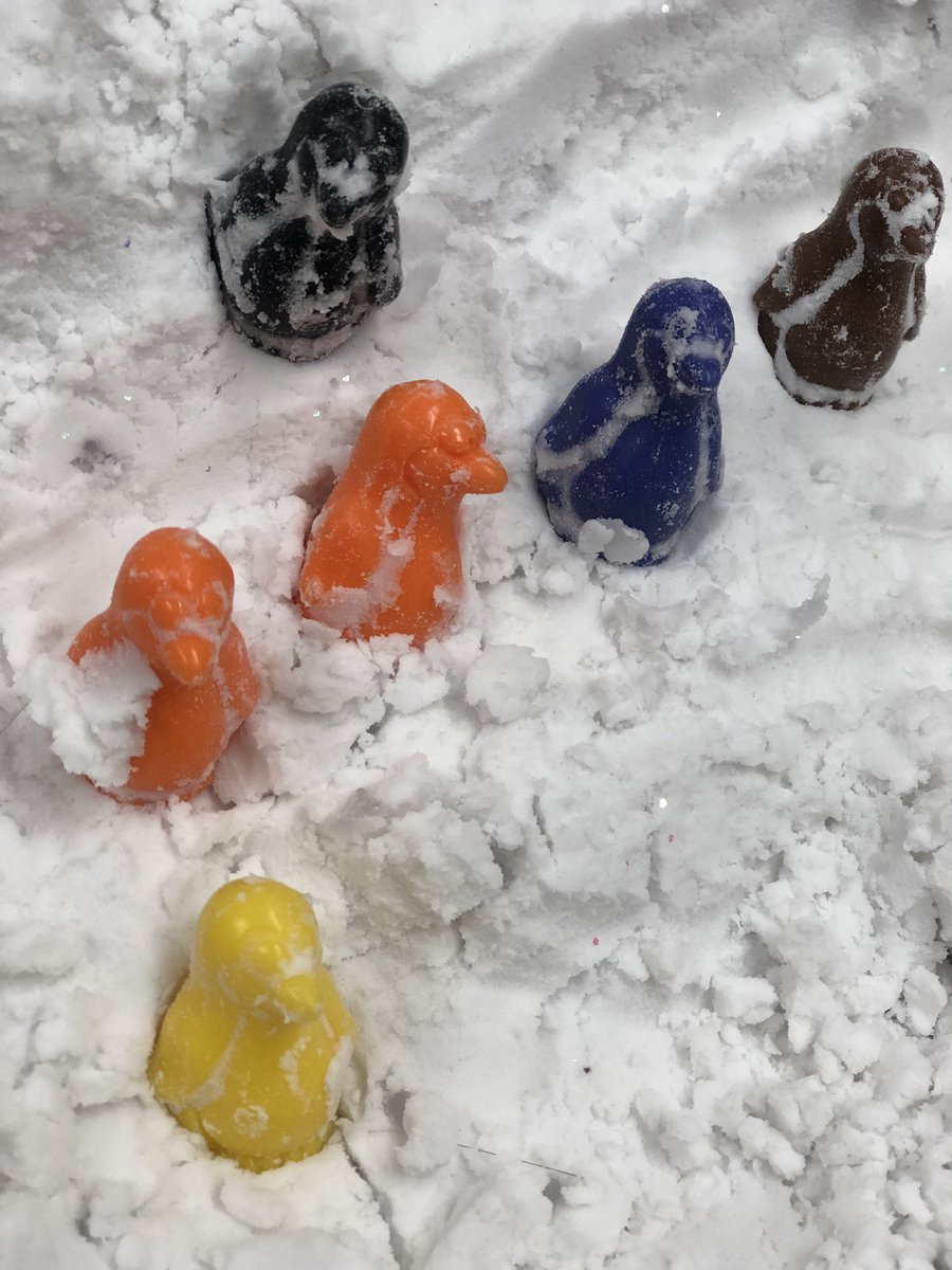 Connaughtcomets's tweet photo. Inspiring learning in the ECE rooms at Connaught. #beebotstobuildnumeracy #peguinsandsnowtoexploreandpattern #rocksandshellstopattern #foundobjectsandletters #booksandwriting #stellarECEclassrooms #communityofexcellence #playbasedrichlearning https://t.co/PCgorALBYU
