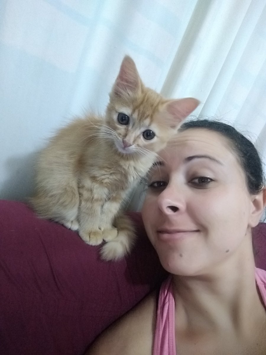 jennylari's tweet photo. De quando minha bebê era bem bebê e ainda gostava de tirar fotos.. ❤️❤️
#Vikinha
#Macaquinha

#GooseOGato https://t.co/q94rWgZvkU