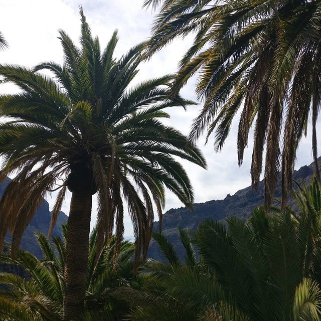 please_playa's tweet photo. #playaplease #theglobewanderer #passionpassport #forahappymoment #flashofdelight #exploringtheglobe #voyage #vacances #paradis #paradise #beachliving #paradiso #welivetoexplore #jaw_dropping_shots #heavenonearth #naturalparadise #wondersoftheworld #ocean… https://t.co/H5wpKWmF0f https://t.co/6IzYOFis9q