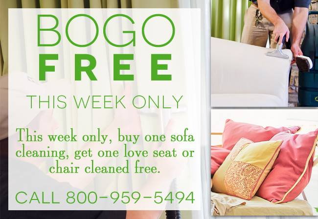 KIWI Lovers, for a limited time only get your love seat or chair cleaned for free when you purchase a sofa cleaning with our BOGO sale! Give us a call today to learn more and schedule an appointment!