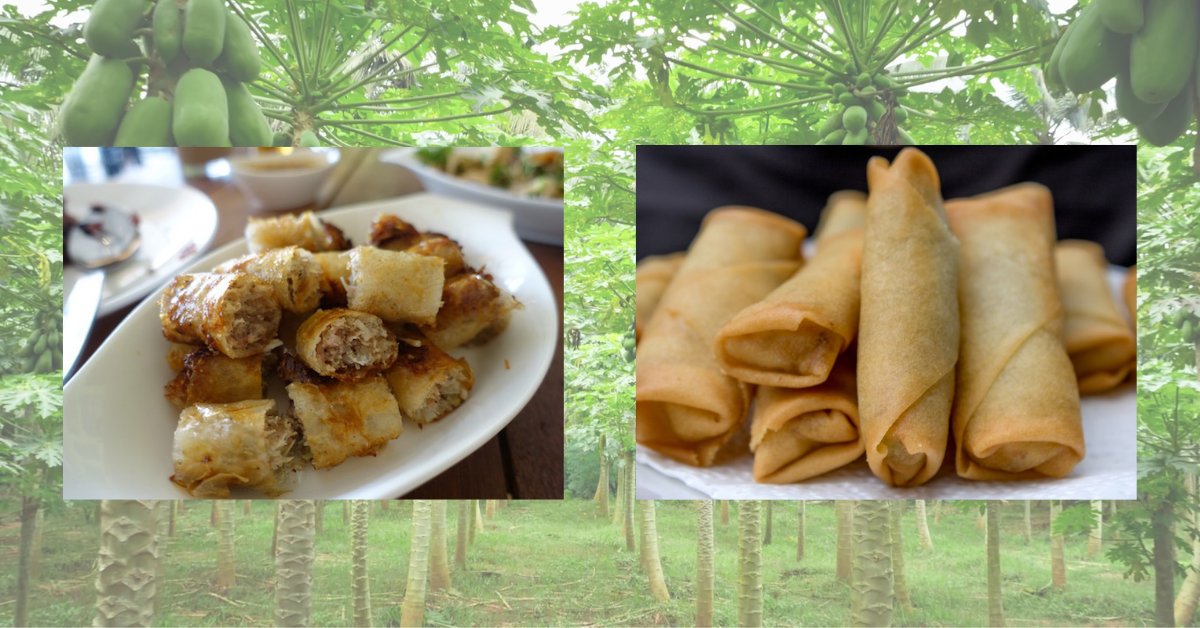 papayatree_net's tweet photo. Which wrapper do you like better on your Southeast Asian fried spring rolls? Rice paper or wheat flour pastry wrapper? #Anchorage #foodtruck #friedspringrolls https://t.co/IJnn0D6Q48
