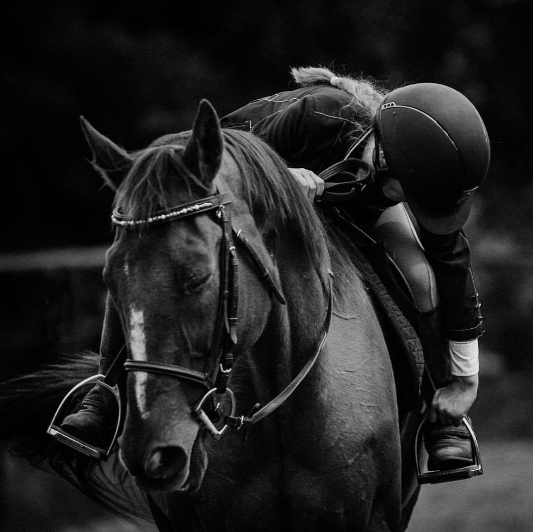 Did you know that the Junior Light Horse Show has classes for every Horse Crazy kid no matter their skill level! From lead line to jumping, we've got something for everyone! #horseshow #jumping #gymkhana #leadline #showmanship #equitation #western #english