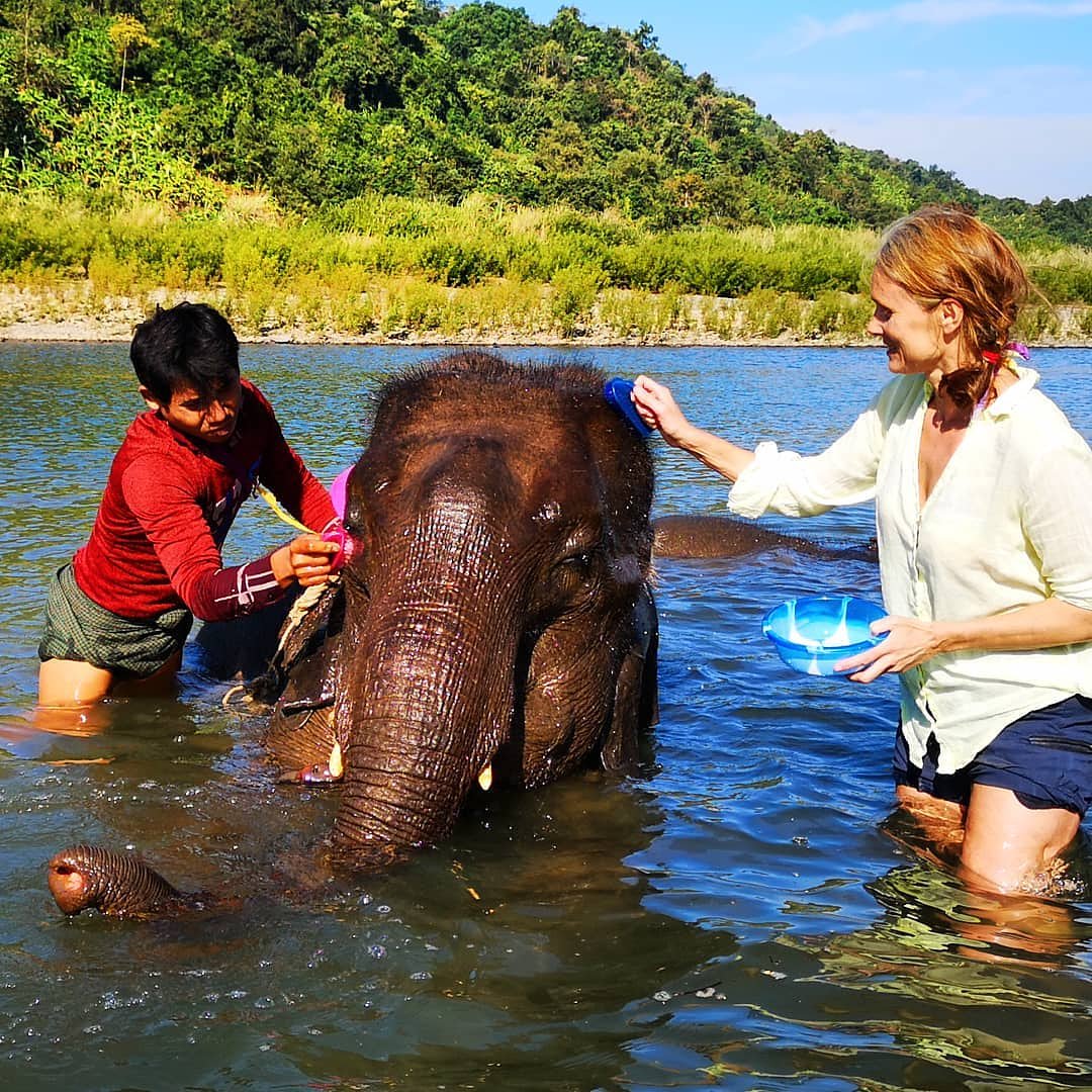 Morning Wash Time 💧💧@linns_reise thanks for visiting . She Said ' taking a river boat and spending time with friendly water loving elephants 🐘 was her great experience in Myanmar'. Have you gone 🖤 there? Do you also love Elephants? #MyMyanmar #mymyanmar #MyanmarBeEnchanted