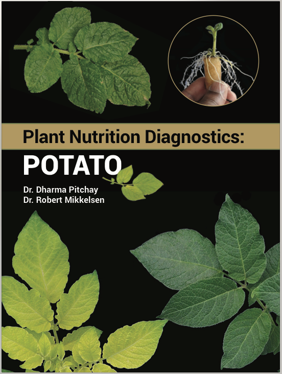 RobSoil's tweet image. Plant Nutrition Diagnostics: Potato... Tennessee State Univ, #IPNI, and #Simplot combine to produce 125 pg book of high resolution #potato deficiency photos. E-book for sale from IPNI store, but free pdf download for short time. @PlantNutrition bit.ly/2BSqM7l #TSUedu
