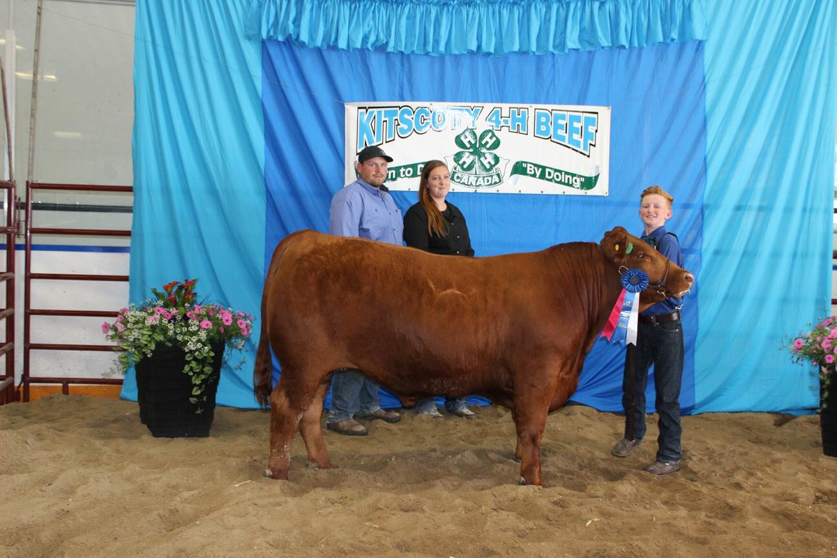 I was fortunate to have the winning bid on this bull raised and sold by Rancier Farms yesterday.  I’m confident that he will produce the same quality offspring as the last one I bought from Garth.  #ranchlife#simmental#angus