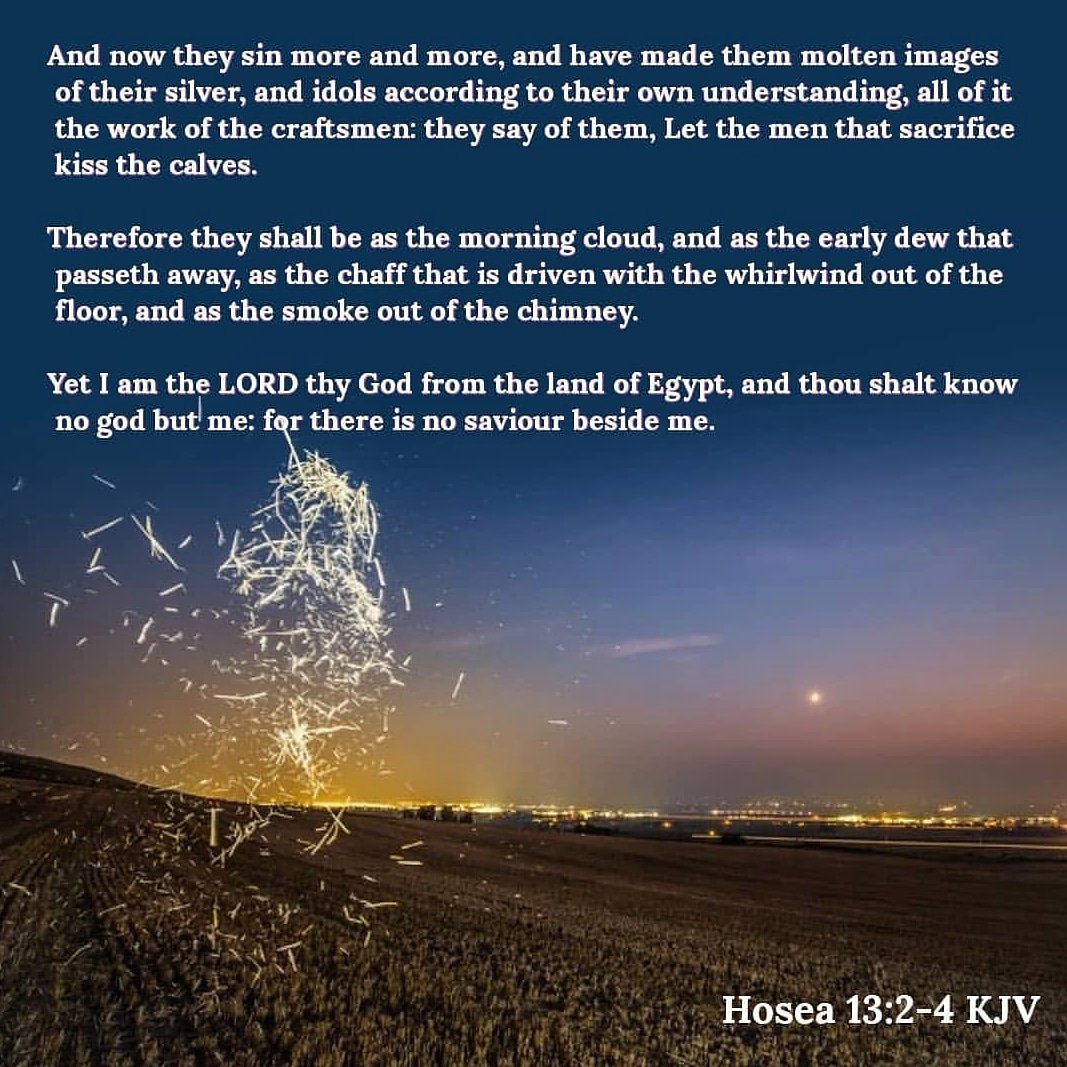 my_daily_bible's tweet image. Hosea 13:2 KJV
And now they sin more and more, and have made them molten images of their silver, and idols according to their own understanding, all of it the work of the craftsmen: they say of them, Let the men that sacrifice kiss the calves.