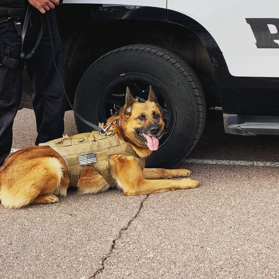 cos_network's tweet photo. We'd love to have your company or organization join us as an event sponosor for the 2nd Annual Homes For Heroes Community Cares 5K and Fundraiser this year! To sign up or for more information, check out the event at https://t.co/DiO1XYxiaa! #HFH #K9 #PoliceDog #thankacopthursday https://t.co/GiBOu2JBCA