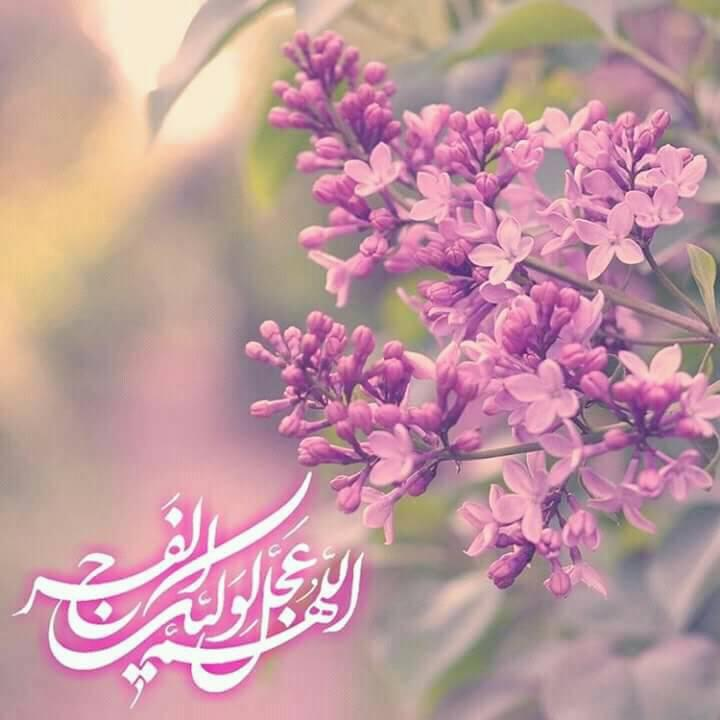 delara__4's tweet photo. ______

دوباره بساط طرب شد مهیا،
دوباره رسیده شب شور و غوغا؛
شب می فروشی،
شب باده نوشی،
شب لب نهادن به لب های صهبا
.
.
.
شب هو کشیدن،
گریبان دریدن،
شب پر کشیدن،
پریدن به بالا؛
چه شب ها که زهرا دعا کرده تا ما،
همه شیعه گردیم و بی تاب مولا......🌹

____ https://t.co/qpHvjBTHSD