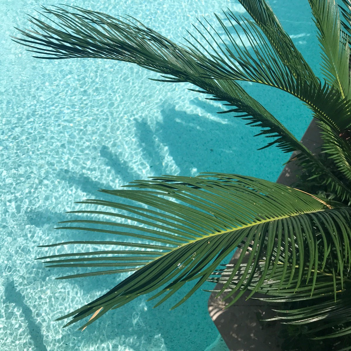 Fashion__Studio's tweet photo. STYLISH DESTINATIONS - French Polynesia: How To Do This Romantic Destination Right (By Marie Nieves) 🌴
https://t.co/h18UBQvXGK
#travel #style #lifestyle #travellinginstyle #travelling #stylishdestinations https://t.co/JuuNhF3KdX