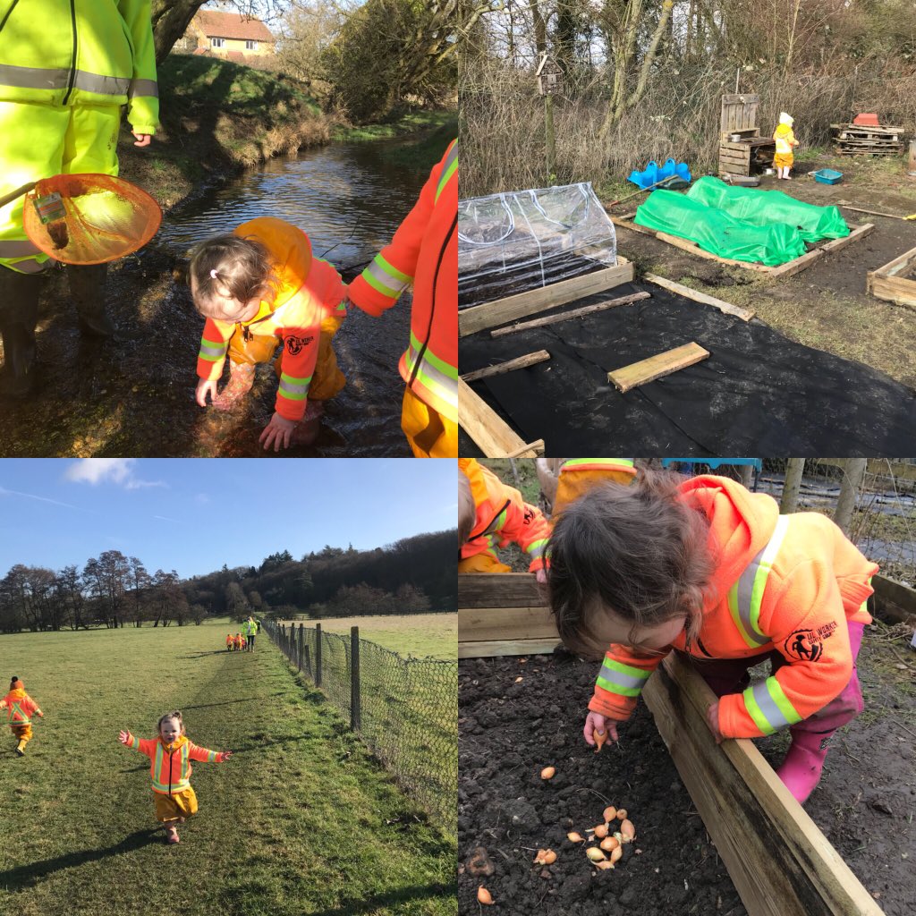 farawaytree1's tweet photo. What a wonderful February it was! #Countryside #Hertfordshire #eastherts #muchhadham #nature #bulrush #allotment #toddlers #forestschool https://t.co/yPSakc3sGu