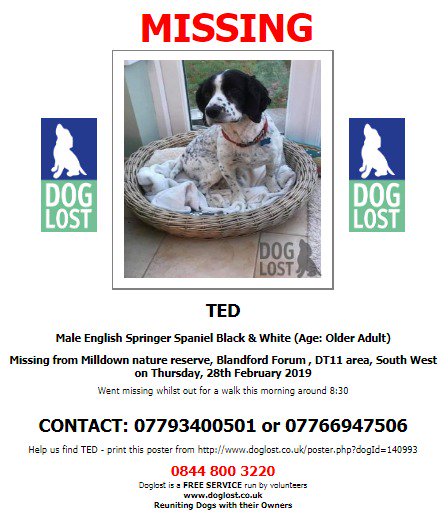 #LOST #DOG TED
Male #EnglishSpringerSpaniel Black &amp; White Older Adult
#Missing from #Milldown Nature Reserve #BlandfordForum #DT11  
Thursday 28th February 2019 
#LostDog #ScanMe <a href="/VetsGetScanning/">MakeChipsCount to Reunite Pets</a> 
 doglost.co.uk/dog-blog.php?d…