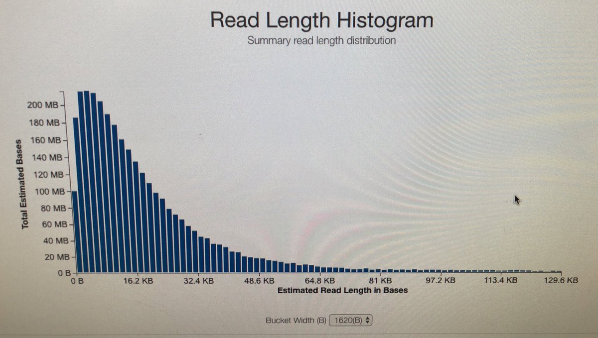Kelsey Fryer tweet media
