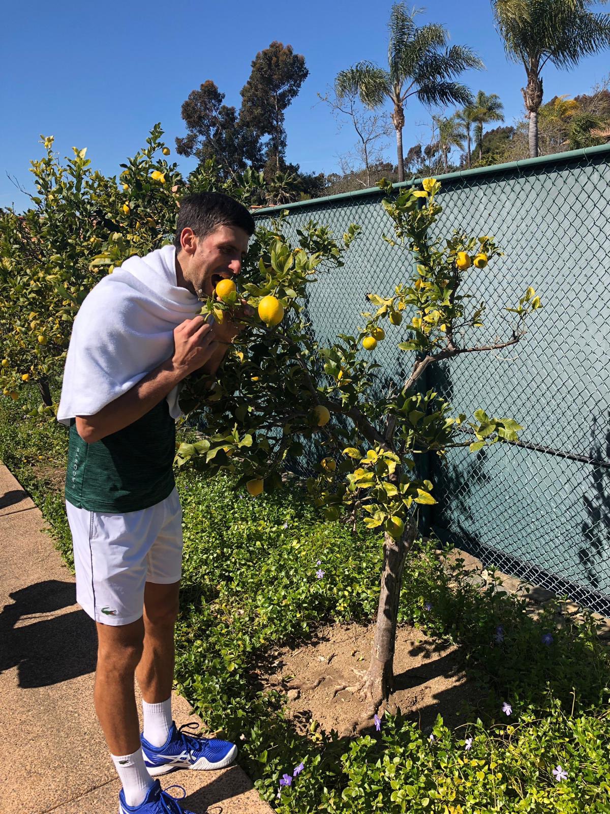 D0iNmRLV4AAjgVz.jpg:large