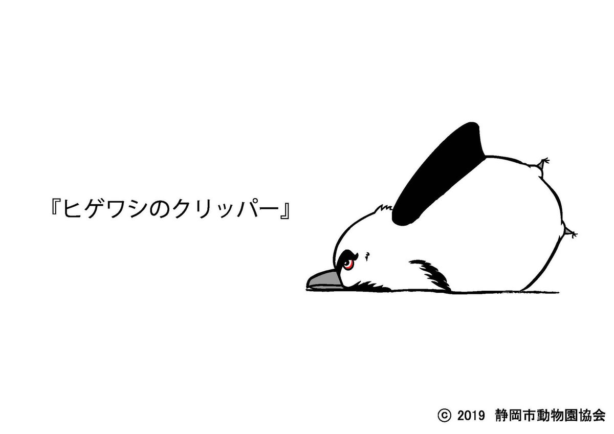 O Xrhsths 静岡市動物園協会 日本平動物園 Sto Twitter S C P クリエイターズno 1 Kussy ヒゲワシのクリッパー 国内では日本平動物園でしか飼育されていないヒゲワシ 凛々しさと愛くるしさを持ち合わせたキャラクターです ヒゲワシのprに 日本平
