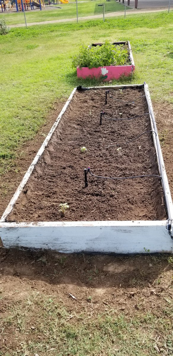 Students @igmcallen1 collaborating   over garden box design while caring for the newly sprouted veggies! Taking ownership &amp; feeling proud😉 #YouMatter #DistrictOfChampions <a href="/McAllenISD/">McAllen ISD</a> #IandGCenter