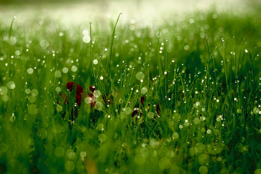 Spring is coming. Hold on a few more weeks!