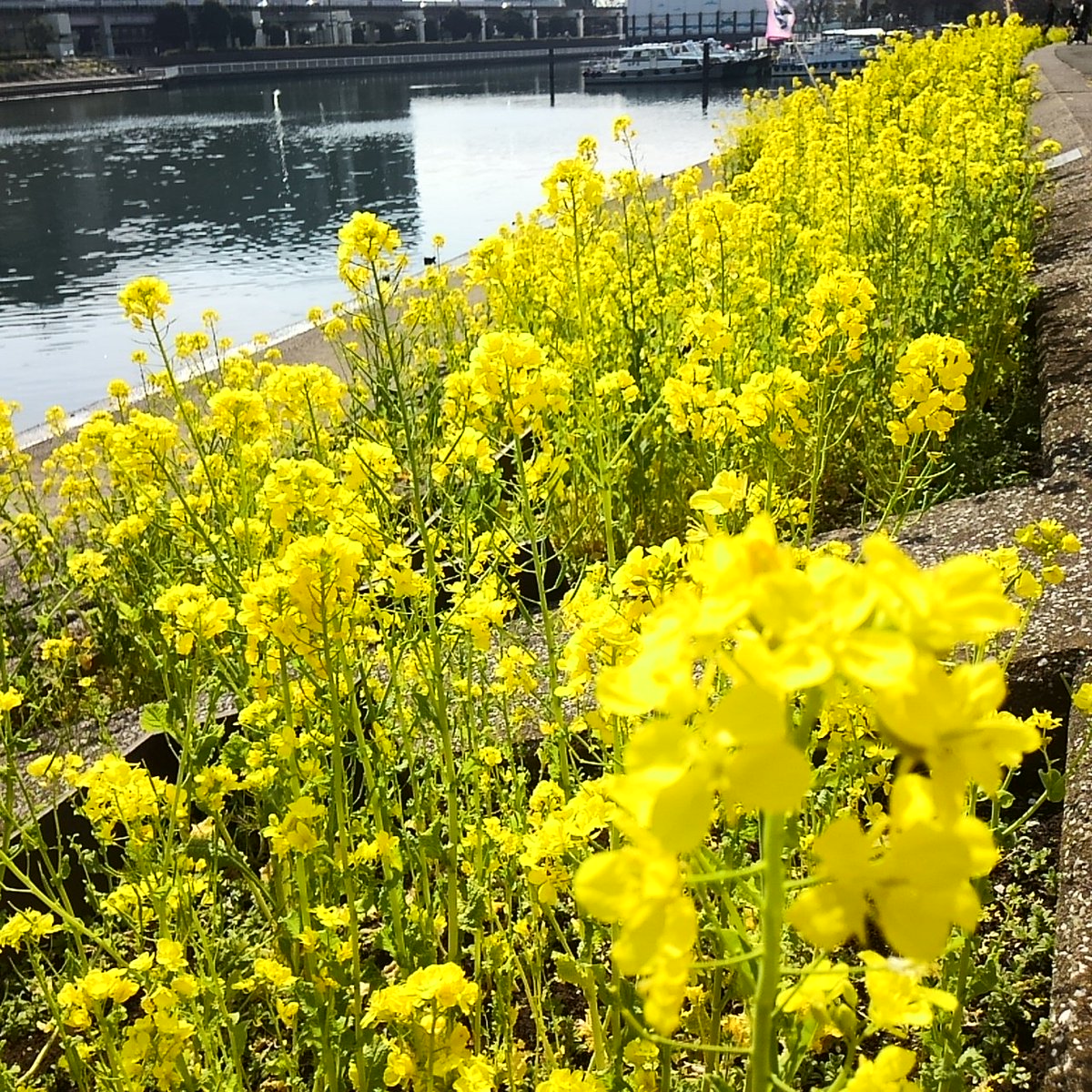 三 一独立運動 Hashtag On Twitter