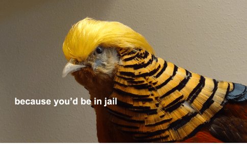 rebeccaanne3's tweet photo. @tahoesteveblack @My_Power_Tie #CrookedHillary #YoudBeInJail Can't wait for #PresidentTrump to #DeclassifyFISA https://t.co/vCPoRhNNV7