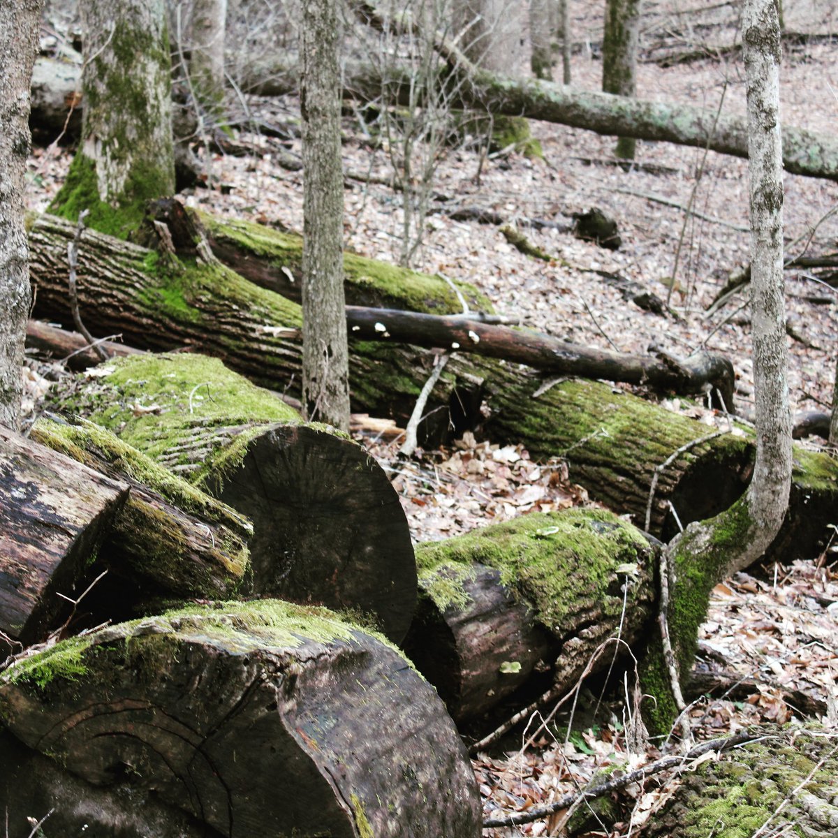 Everything goes back to the earth where it came from
