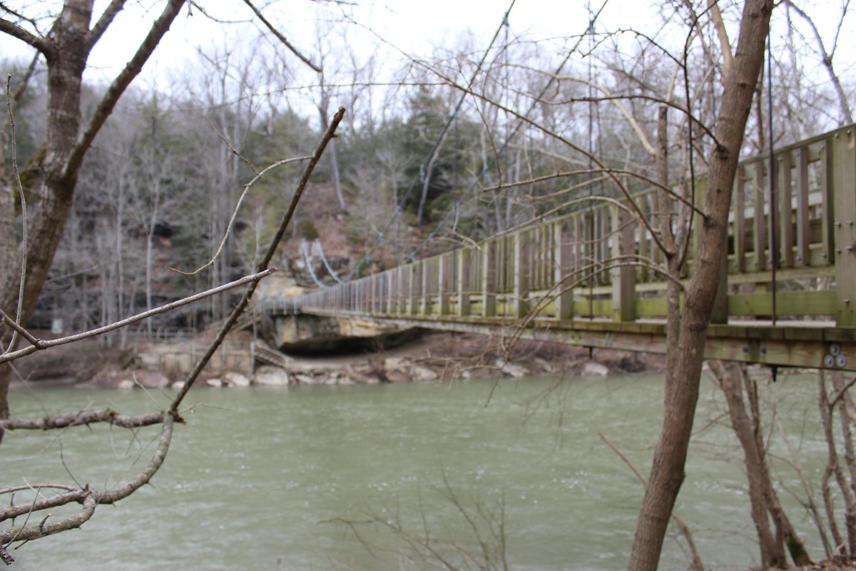 Turkey run suspension bridge