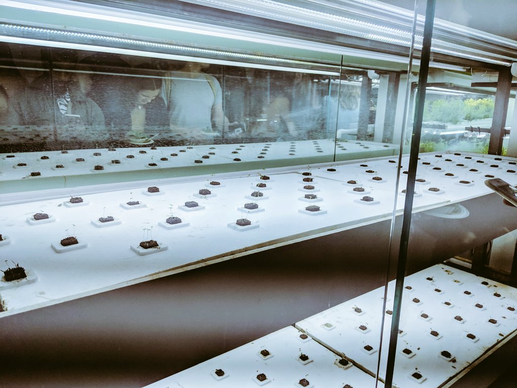 Amazing turnout at #FreshInFebruary. Met so many talented entrepreneurs and food innovators! Not to mention the dandelion wine and abundance of salad. Thanks for hosting <a href="/nycagcollective/">NYC Ag Collective</a> 🌱🥬🌼