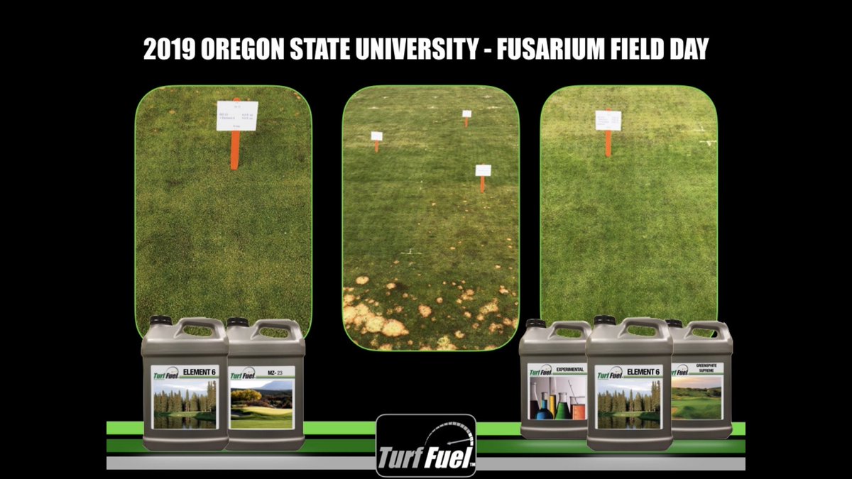 TurfFuel tweet media