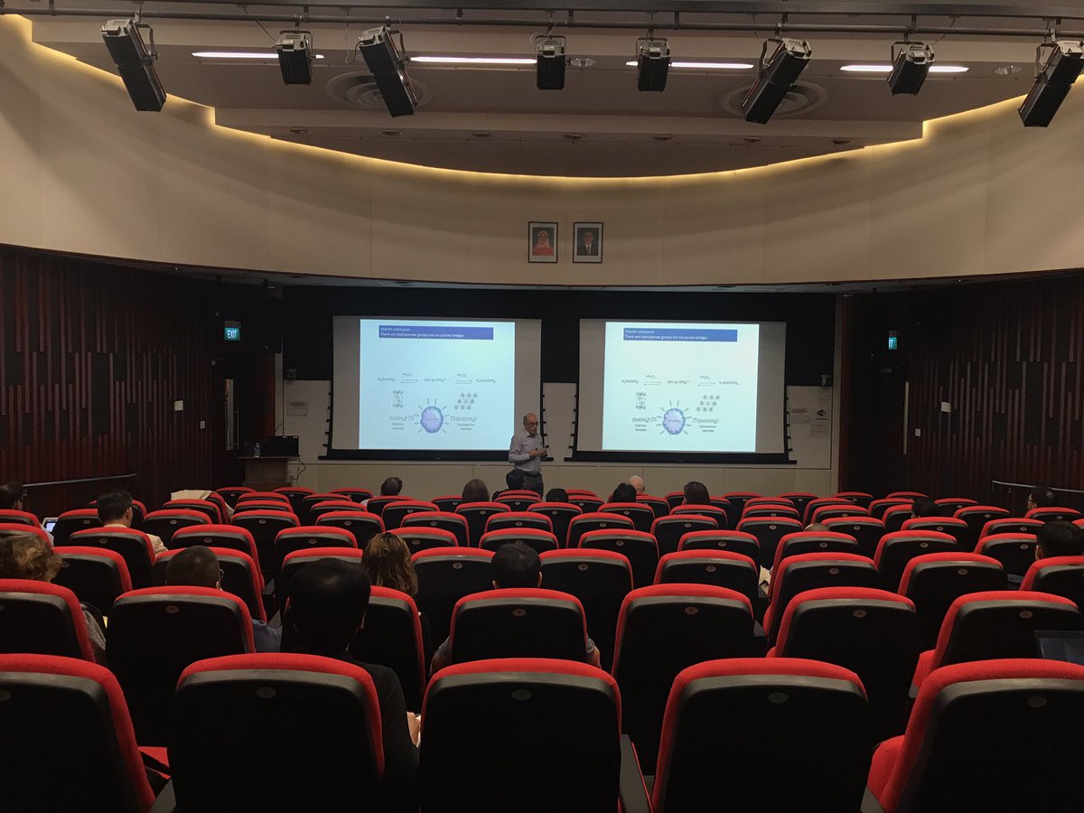 Prof. Ovadia Lev, Professor of Chemistry from <a href="/HebrewU/">Hebrew University</a> and SHARE, speaking about hydrogen peroxide sol gel processing at the monthly <a href="/CREATE_NRF/">CREATE</a> PI Seminar