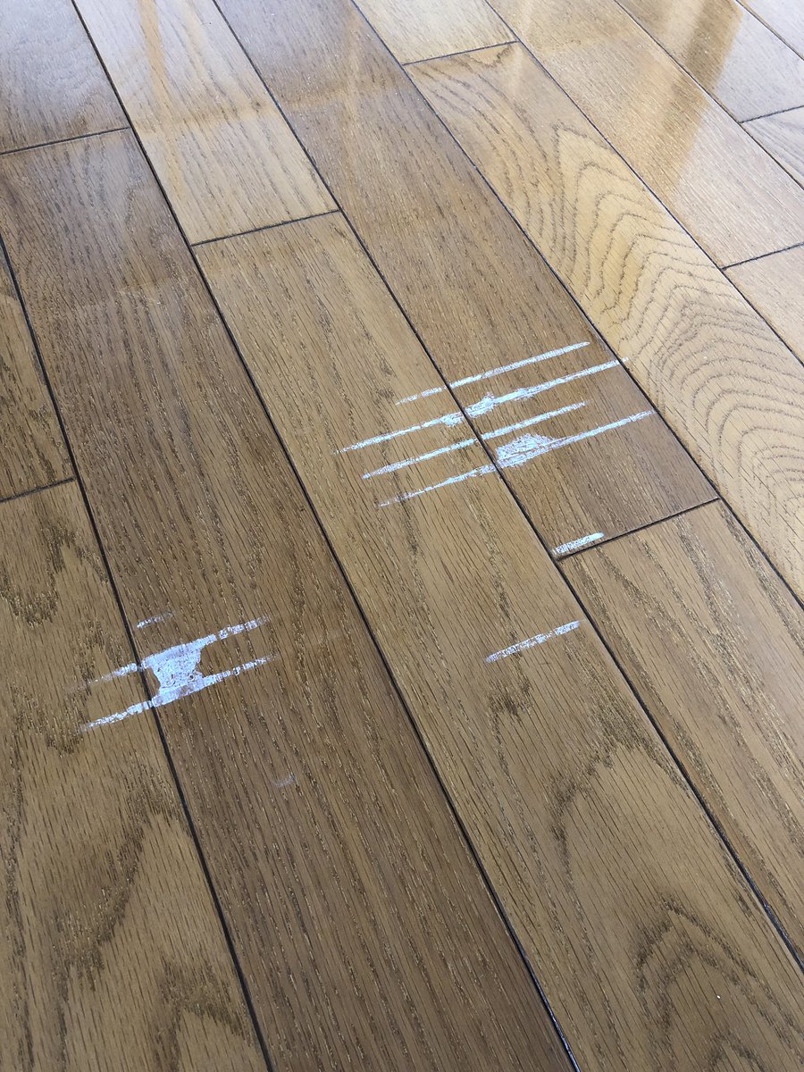 かすてら ニトリの 床に跡がつかないタイルカーペット を剥がしたら殺意覚えるレベルで残りまくっててブチギレてる