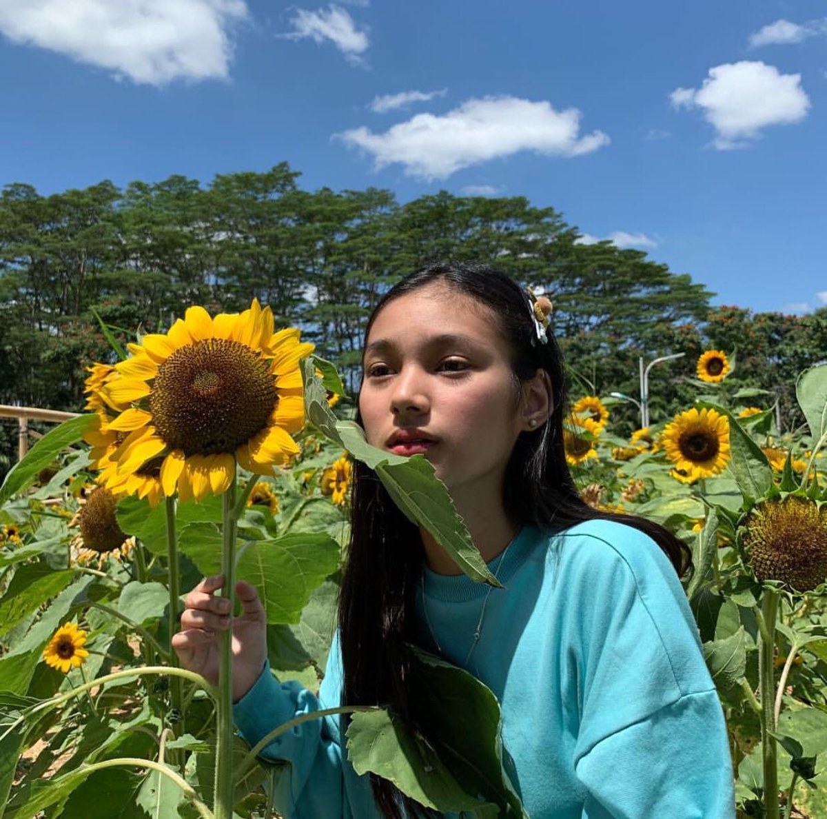 TeamKarinaOFC_'s tweet photo. When the sun and a flower collides 🌻 She'll be there standing.

Kare's latest IG post.

#KarinaBautista | @msKarinaB https://t.co/aSK2HZ1cqA