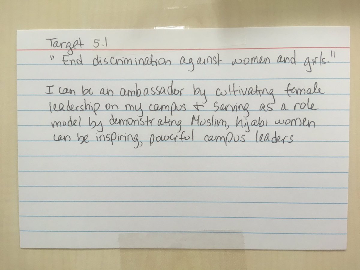 inspirecitizen1's tweet image. #EARCOS #teachsdgs What’s your target?