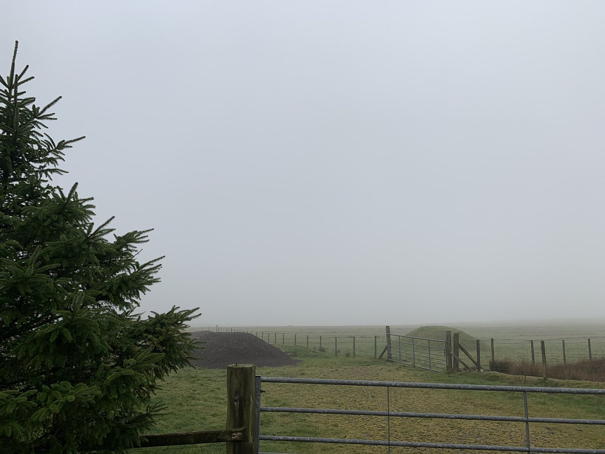 GwentHammers's tweet image. Dydd Gŵyl Dewi Hapus! 
Happy St David’s day! 🏴󠁧󠁢󠁷󠁬󠁳󠁿

Here is a picture of the glorious Welsh weather! Have a good day, enjoy your Welsh cakes and smell those daffodils! 

#StDavidsDay