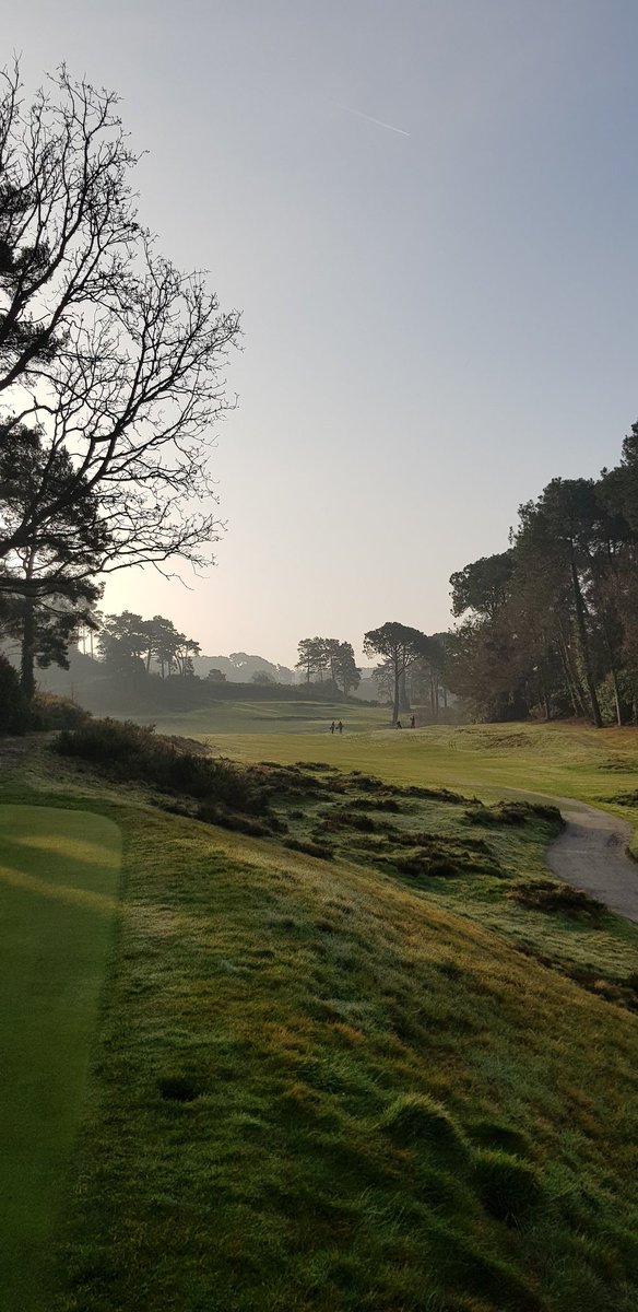 Matt_James_Golf's tweet image. Stunning @PstoneProShop. Getting ready for their @CallawayGolfEU fitting event. #epicflash #ballspeed #customfitting