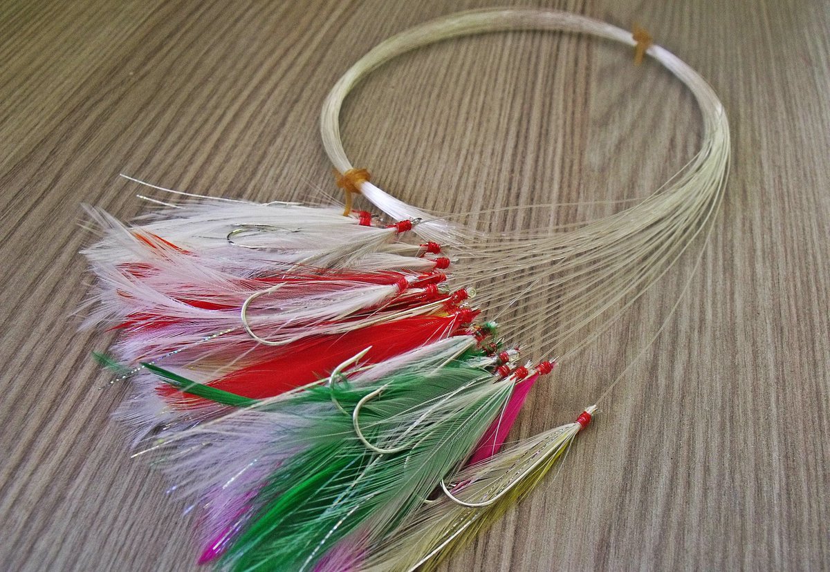 Palamut Avcıları Kıbrıs'a Geliyor 👜👜
#fishing #fishinglife #fishingrod #fishingday #borancapari #1mart #Cuma